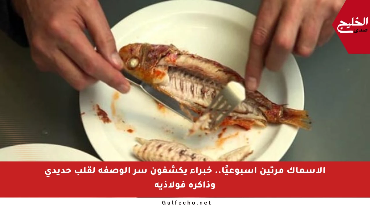 الأسماك مرتين أسبوعيًا.. خبراء يكشفون سر الوصفة لقلب حديدي وذاكرة فولاذية